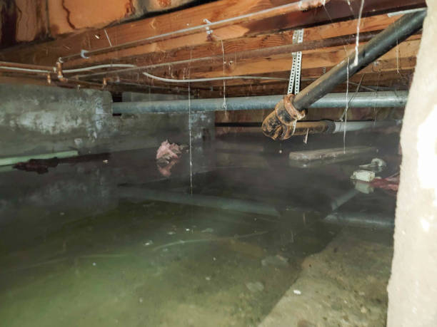 Trusted Delcambre, LA Water damage restoration Experts
