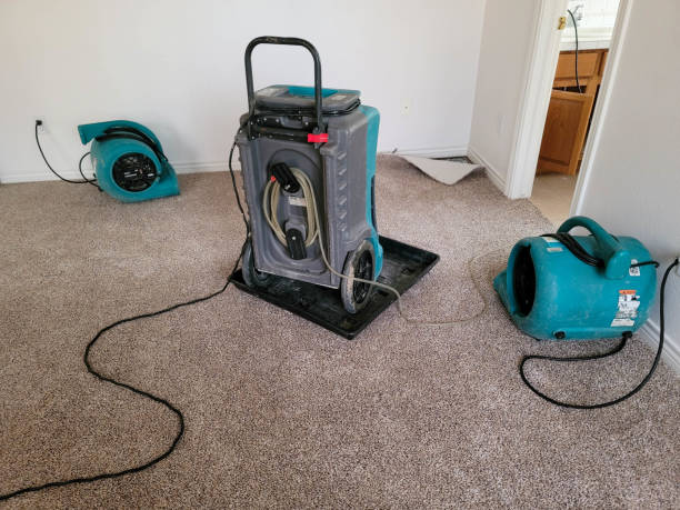 Best Water damage restoration company  in Delcambre, LA