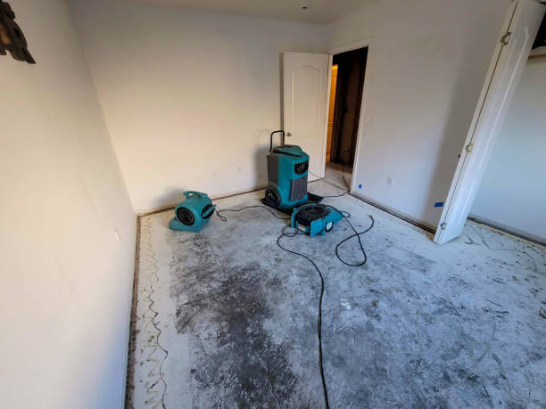 Best Water damage restoration cost  in Delcambre, LA