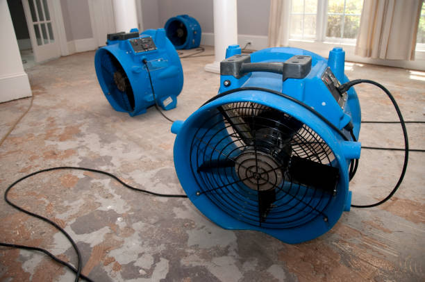 Best Water damage restoration company  in Delcambre, LA