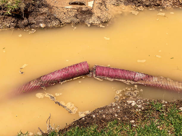Best Sewage cleanup and water damage restoration  in Delcambre, LA